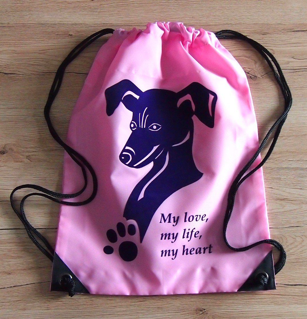 gymsack-potisk-psa-stene