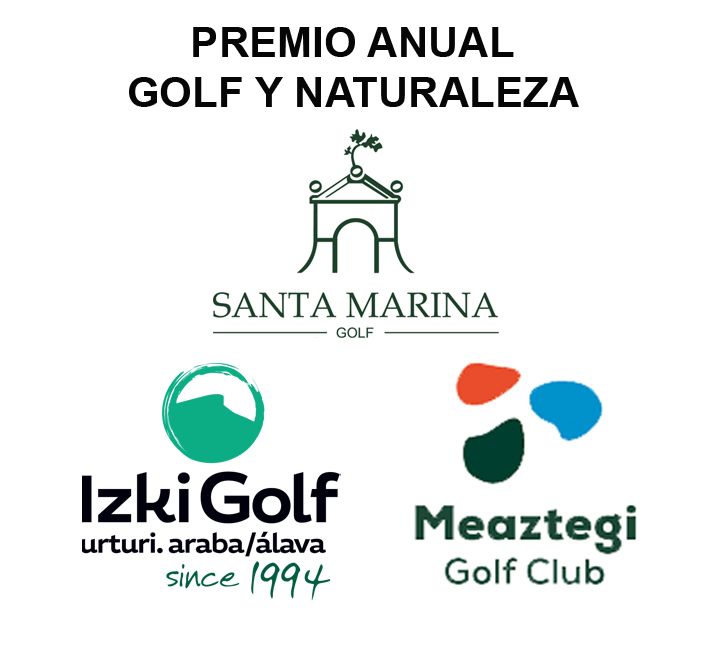 hole in one. pitch putt golf