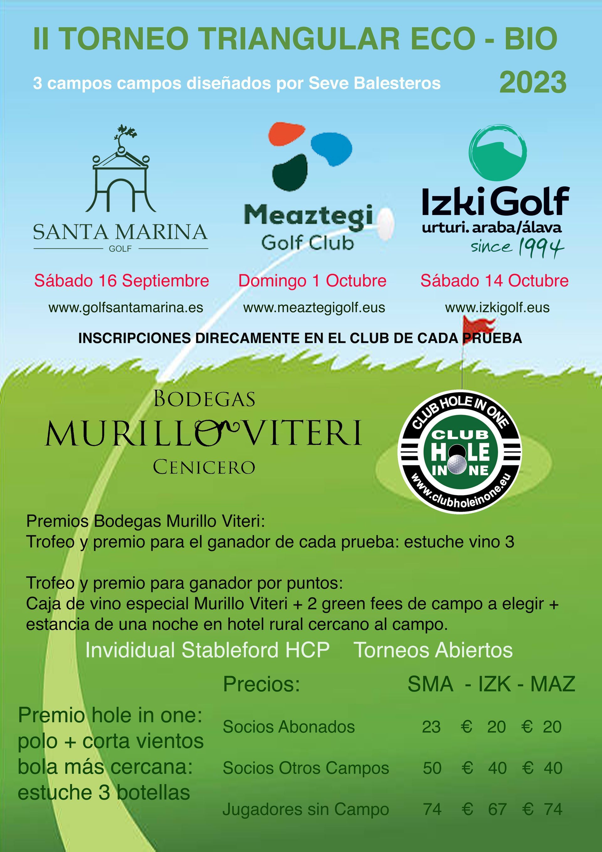 hole in one. pitch putt golf