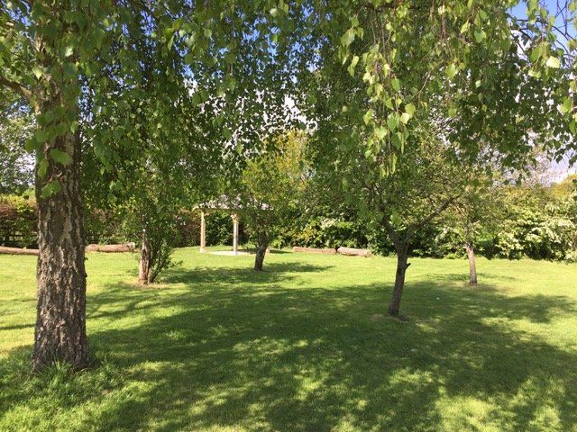The orchard in summer