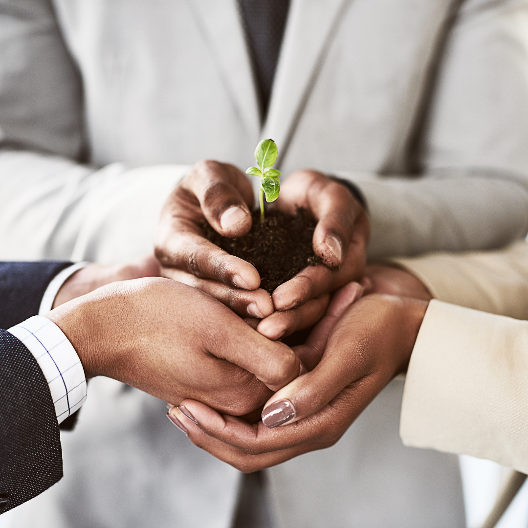 Consulting | Thrive Program