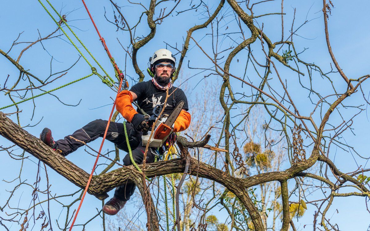 entreprise paysagiste Pas-de-Calais (62)