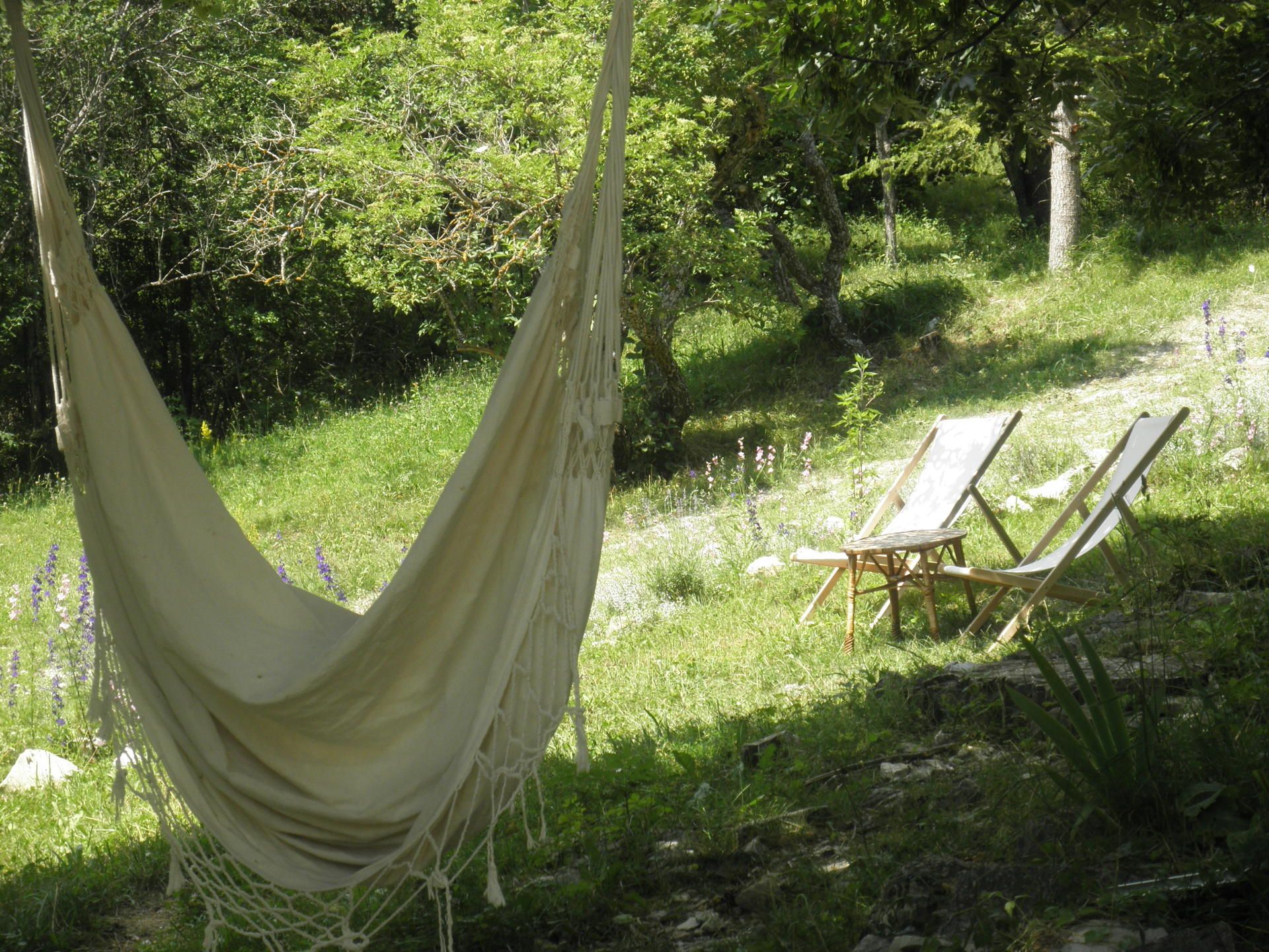 vacances dans le parc régional des Baronnies provençales