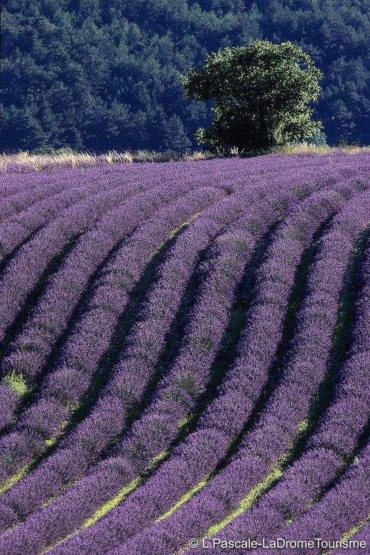 vacances dans le parc régional des Baronnies provençales