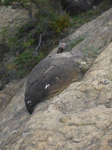 Curiosité géologique :Boules de grès saint André de Rosans