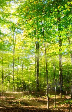 Beratung oder Coaching für Paare Karlsruhe
