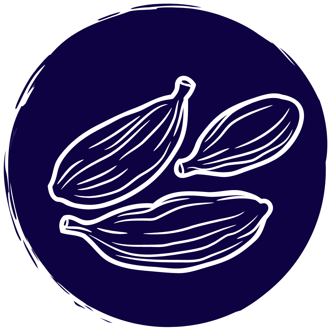 Cardamom Cardamom