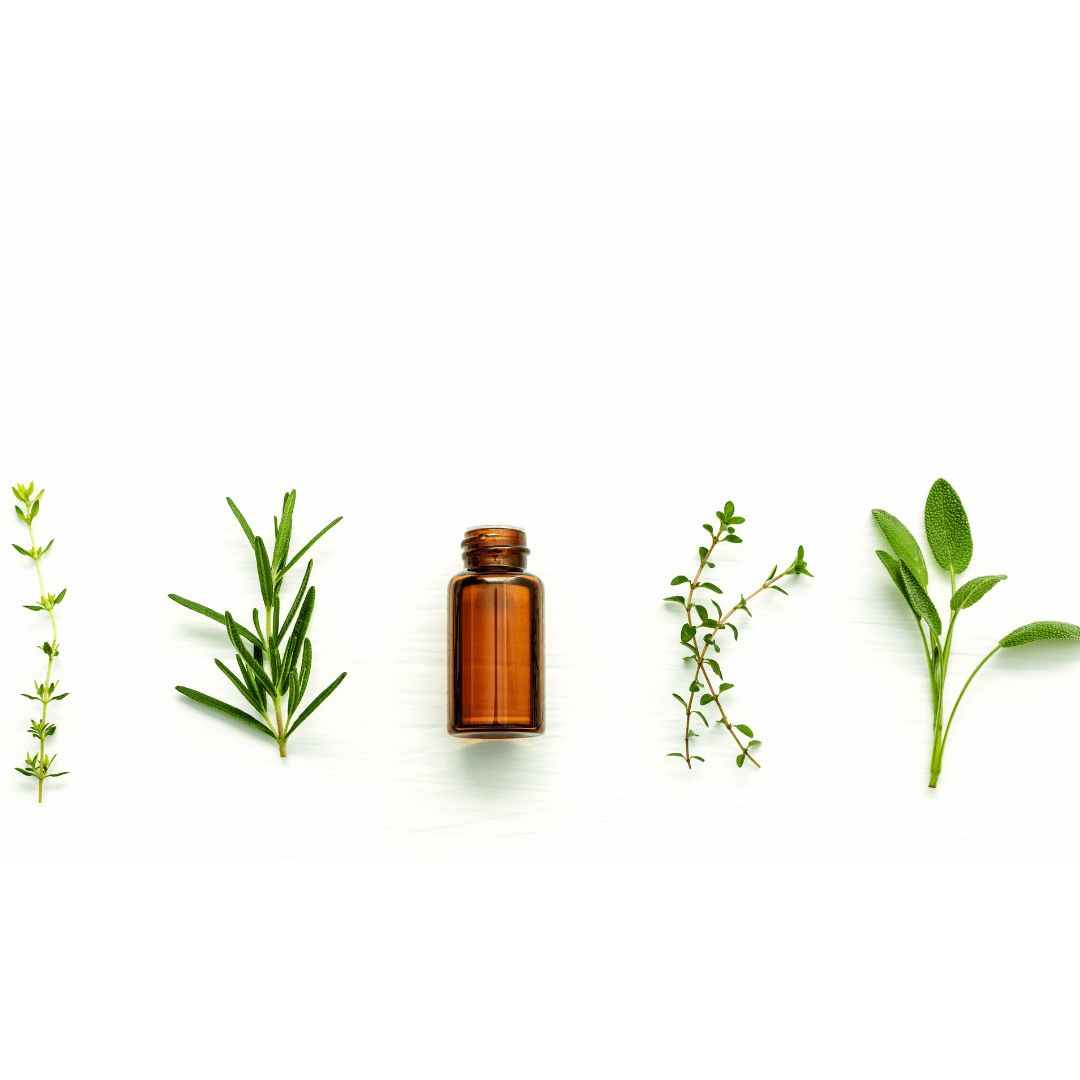 ayurveda consultation