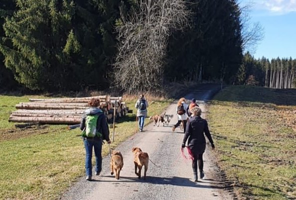Hundewanderungen – Erlebnisse in der Natur