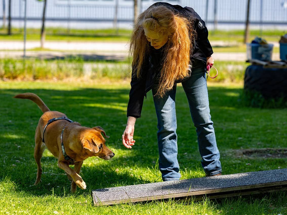 Claudia Fraefel bei einer Trainingseinheit mit ihrem Hund Jeanny