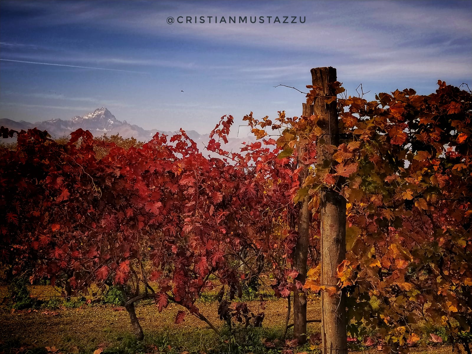 credit Cristian Mustazzu