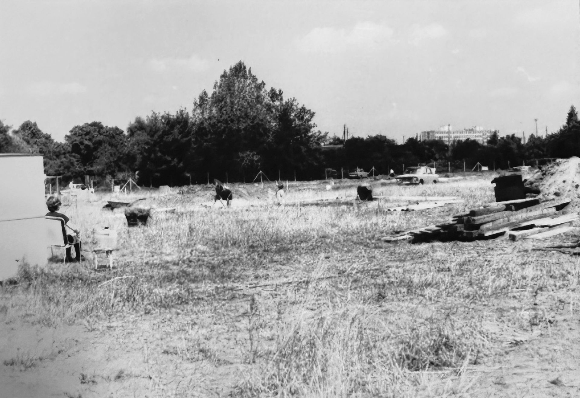 Andere Schwarz Weiß Aufnahem aus Gründungszeiten, Wiese