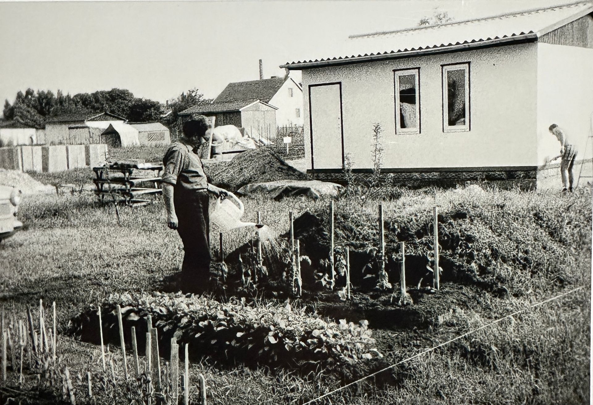 Person steht im Garten und gießt mit einer Gießkanne Pflanzen an einem Pflanzstab. Im Hintergrund steht eine Laube.