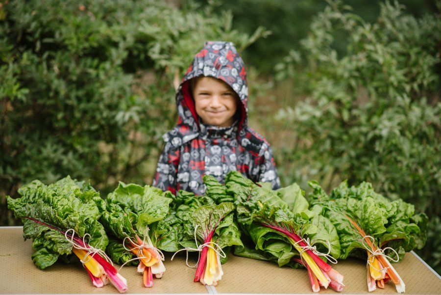 Junge steht in einer Regenjacke (mit Kaputze), der an einem Tisch steht, vor ihm liegen 4 Bunde Rababer