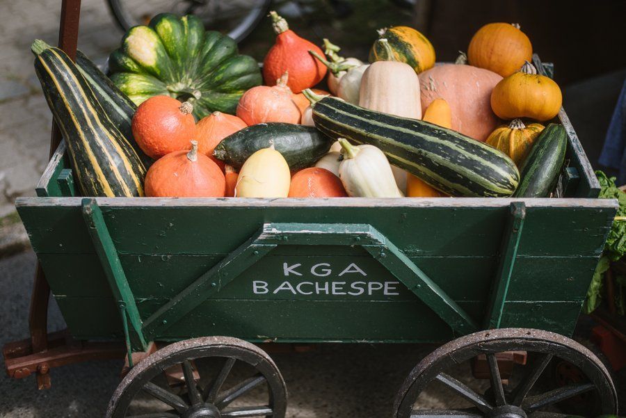 Grüner Wagen mit 2 braunen Rändern, Aufschrift KGA Bachespe, gefüllt mit ganz vielen verschiedene Kürbissen