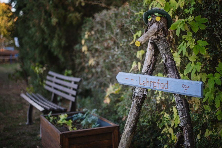 Wurzelmännchen (2 Wurzeln laufen von unten spitz nach oben, treffen sich, dort ist ein Gesicht drauf. Ein Schriftzug zum Lehrpfad zeigt nach links