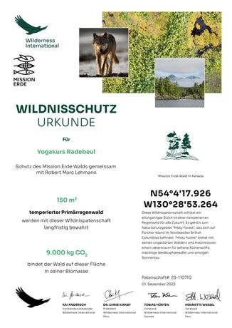 2023: 
Mit dem Yogakurs in Radebeul haben wir gemeinsam 
150 qm temperierten Regenwald geschützt.