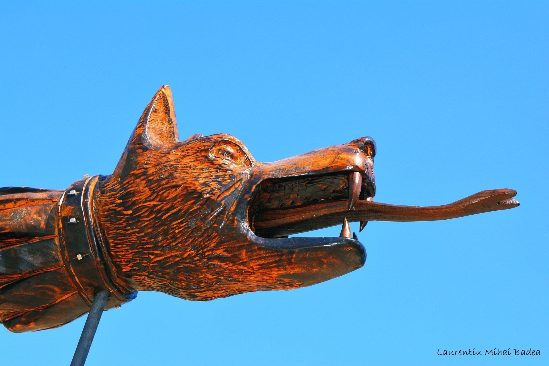 blog histoire roumanie dacie etendard loup dace drago