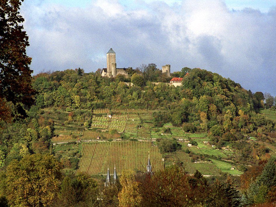 Starkenburg und Schlossberg Heppenheim, Fotograf: Lugfoto, für weitere Details siehe Impressum Foto Starkenburg Schlossberg