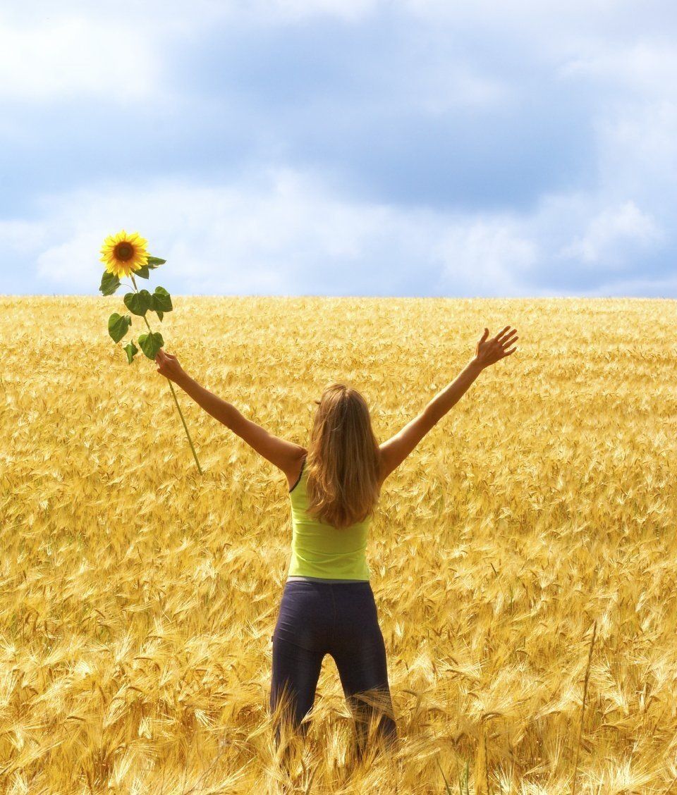 Ajustes emocionales Ajustes emocionales