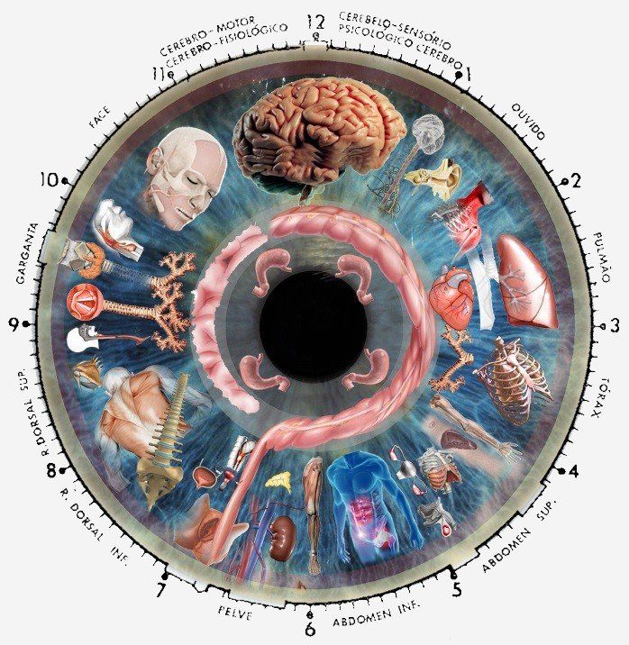 Iridología Iridología