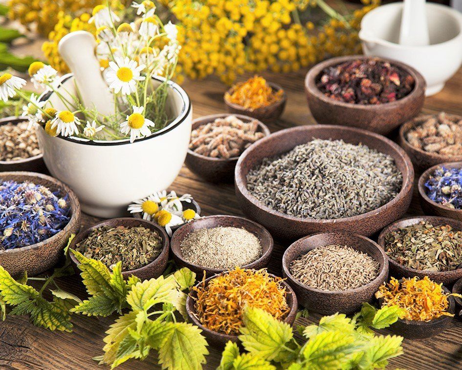 Plantas medicinales o fitoterapia Plantas medicinales o fitoterapia