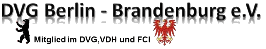 DVG Berlin-Brandenburg Logo DVG Berlin-Brandenburg
