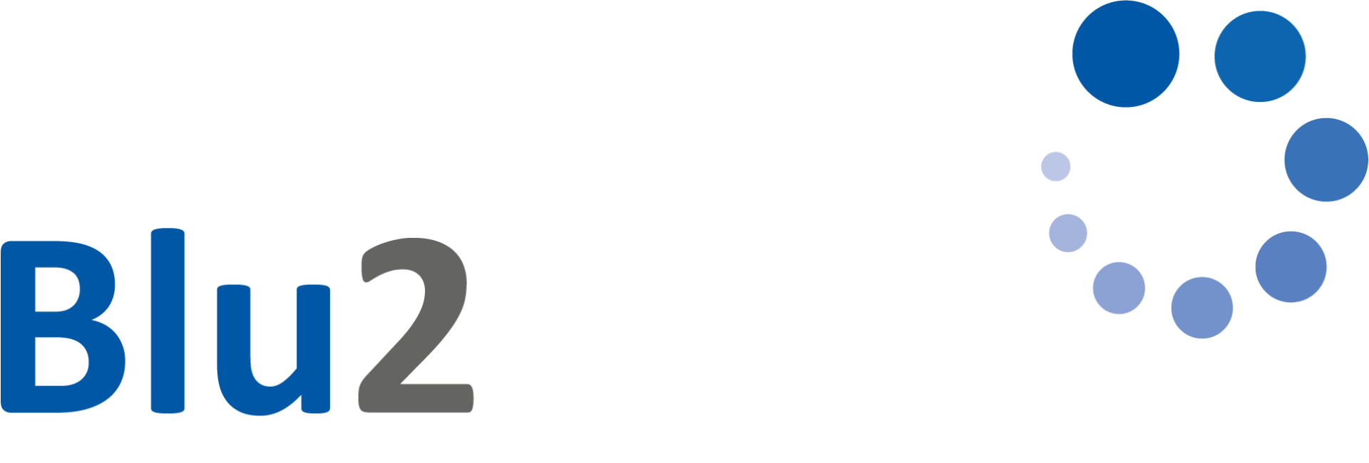 Blu2Light Logo