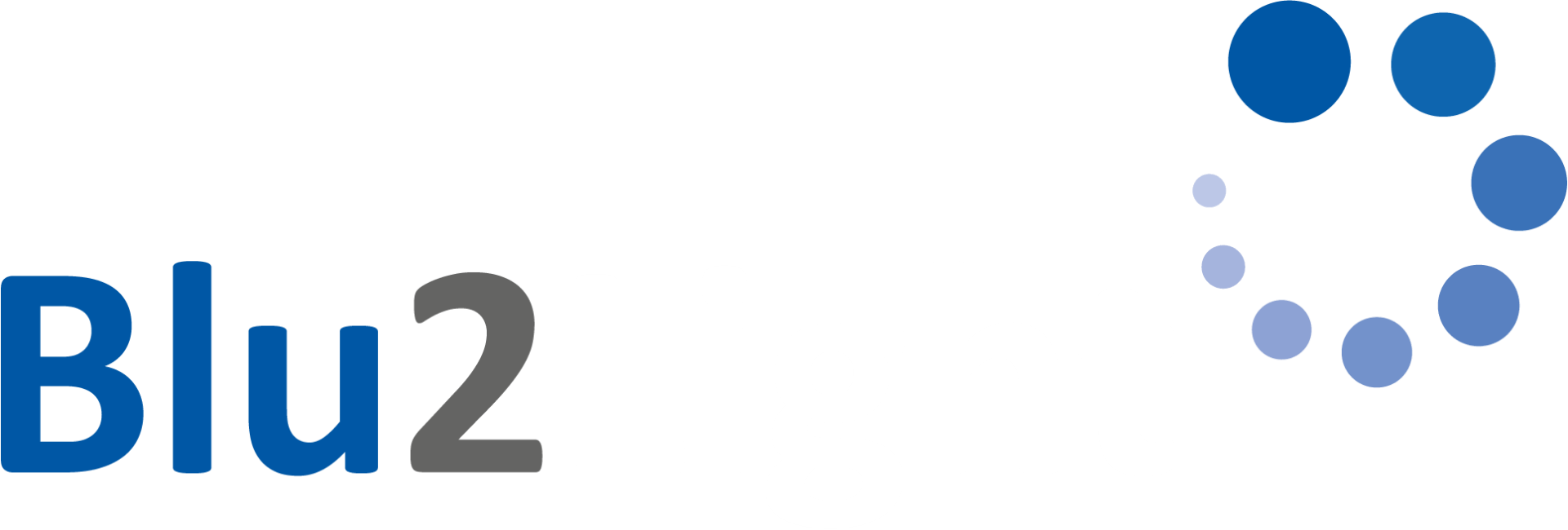 Zurück zur Startseite Blu2Light Logo