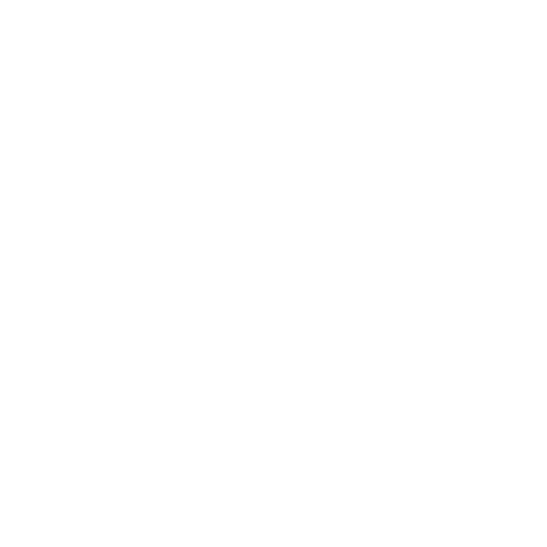 Bluerange Logo