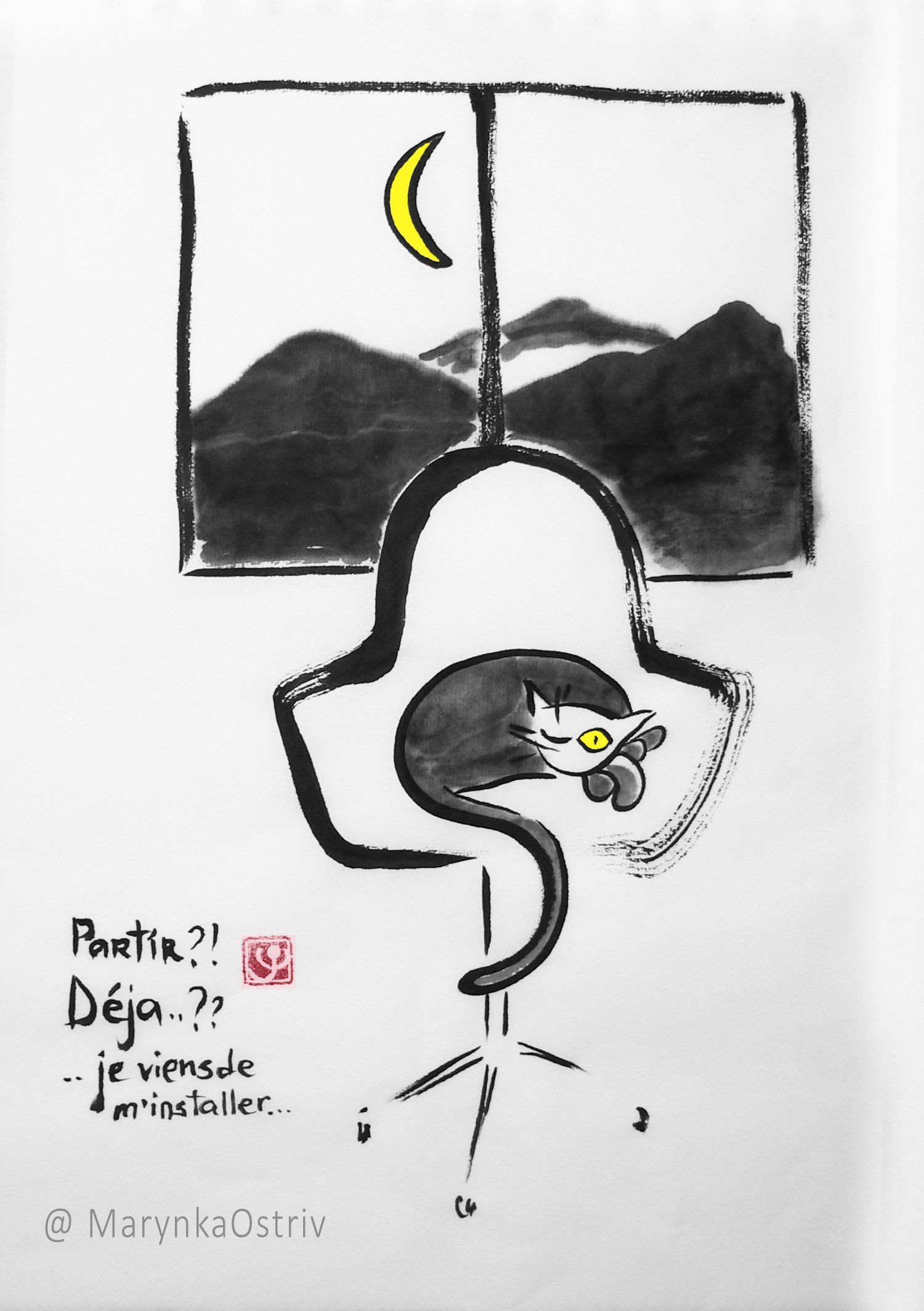 Histoire du chat sauvage