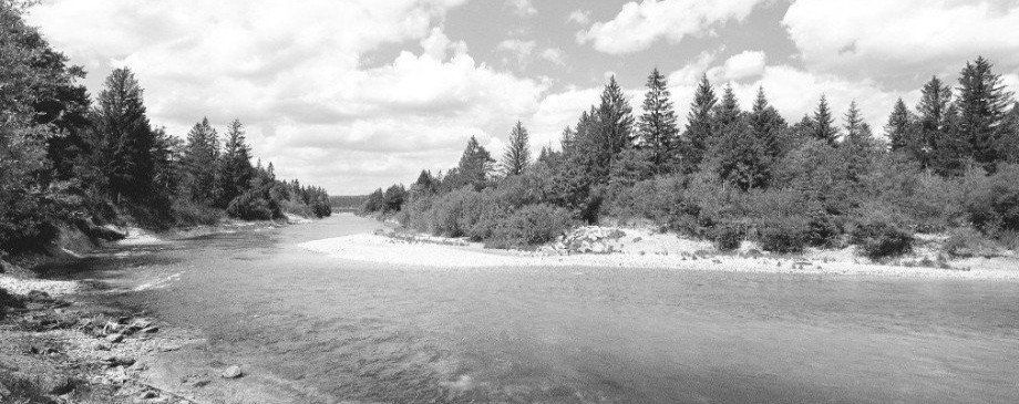 copy right: Fischer Pflügl / Isarbilder.de