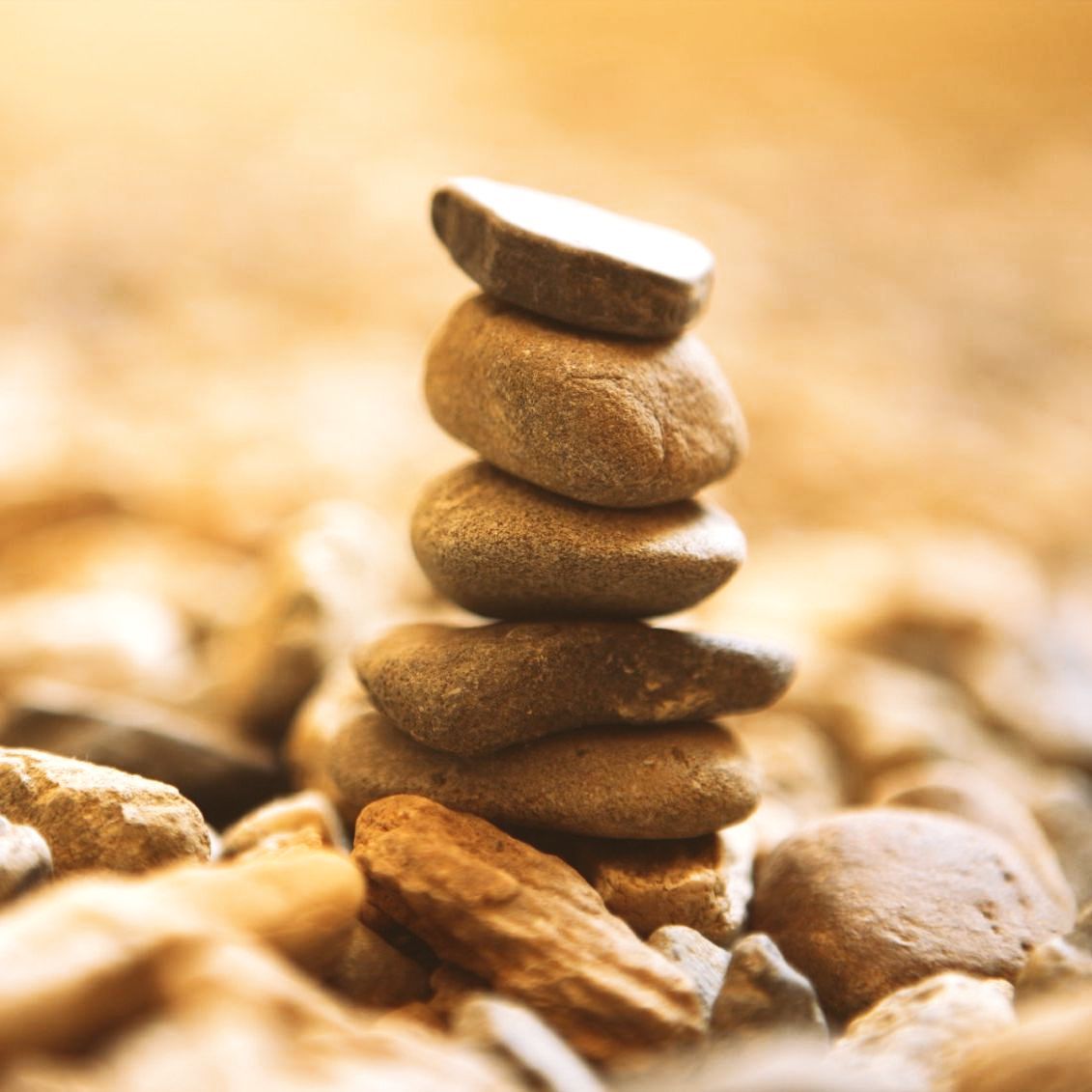 Life- & System-Coaching Life- & System-Coaching