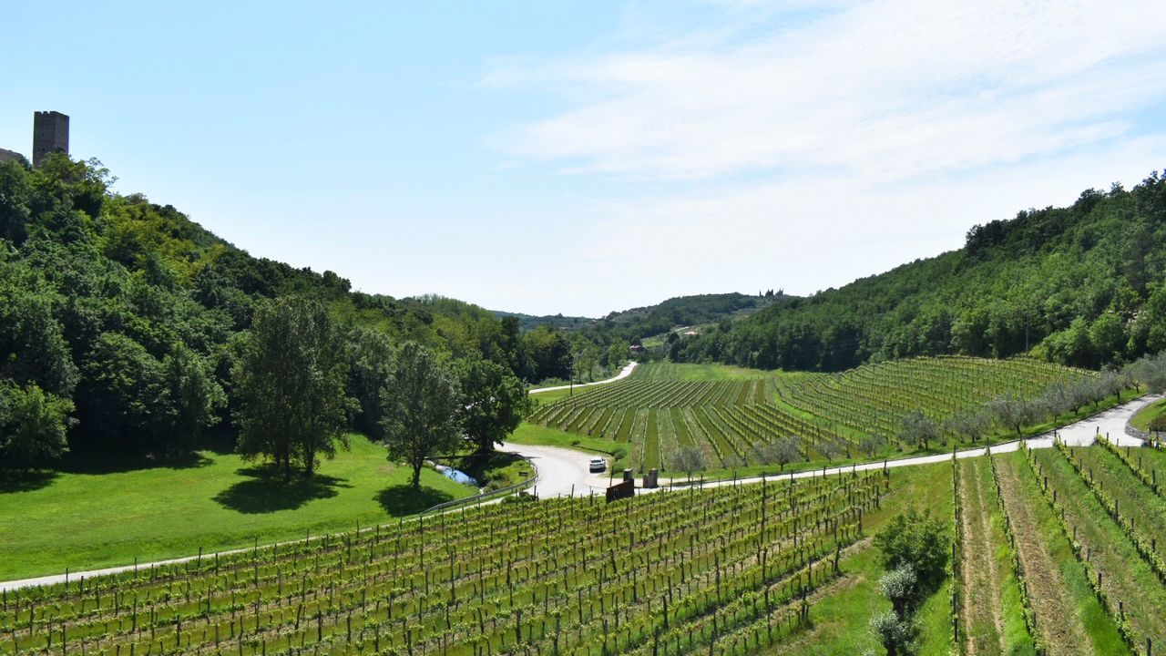 Wunderschöne Aussicht Wunderschöne Aussicht