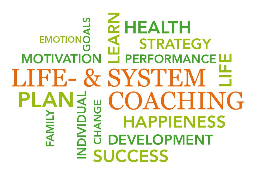 Life- & System Coaching Life- & System Coaching