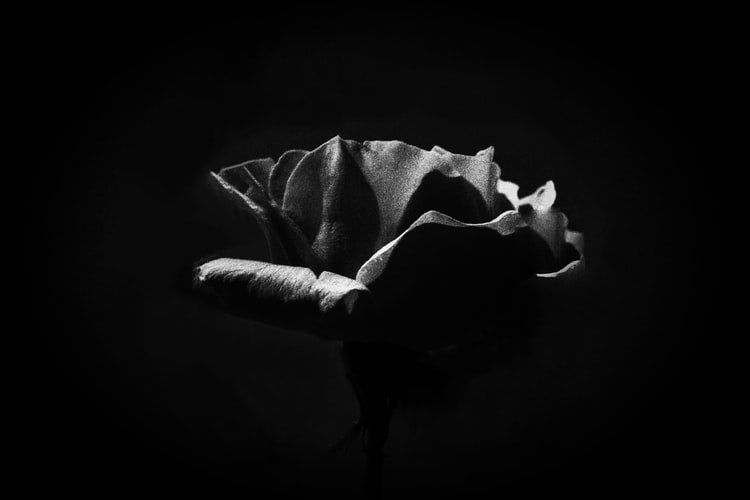 Collective dark night of the soul,