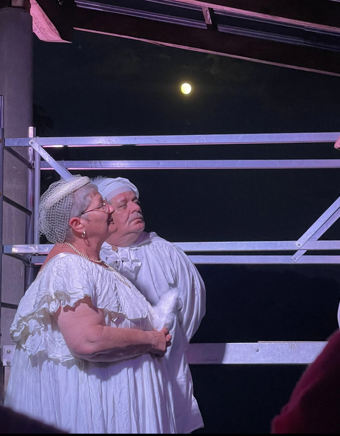 on-echafaude-schakespeare