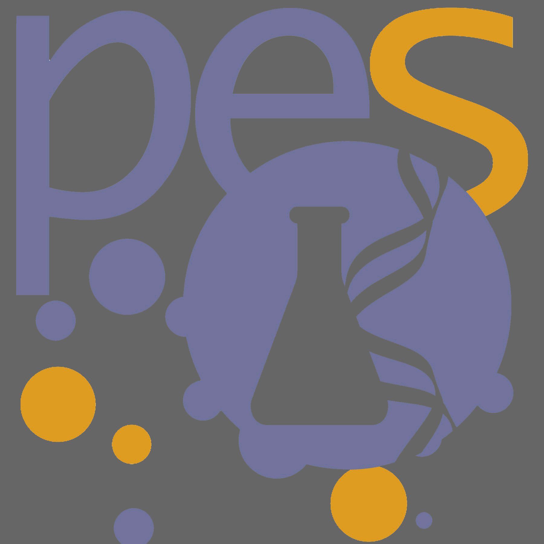 Logo der PES