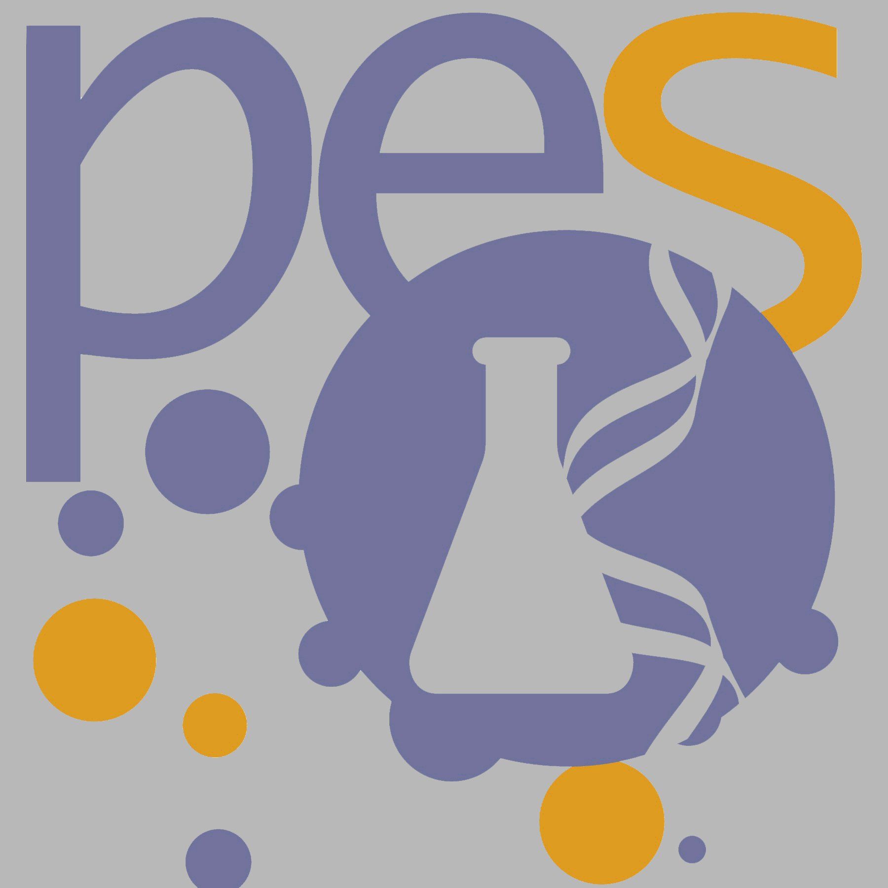 Logo der PES, Link zur Startseite