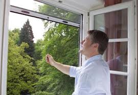 mosquitera enrollable