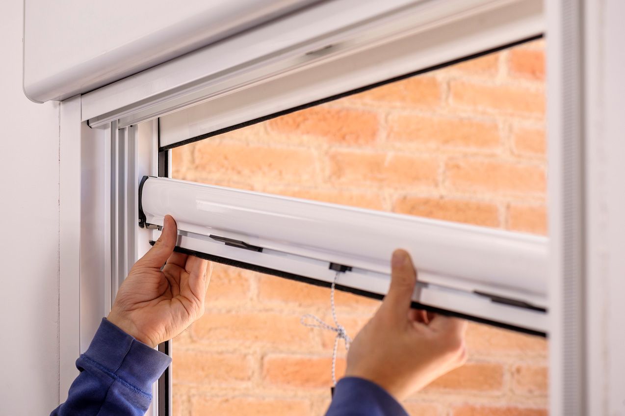 mosquitera enrollable