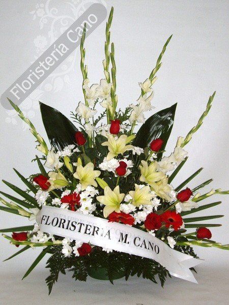 Flores Tanatorio M40