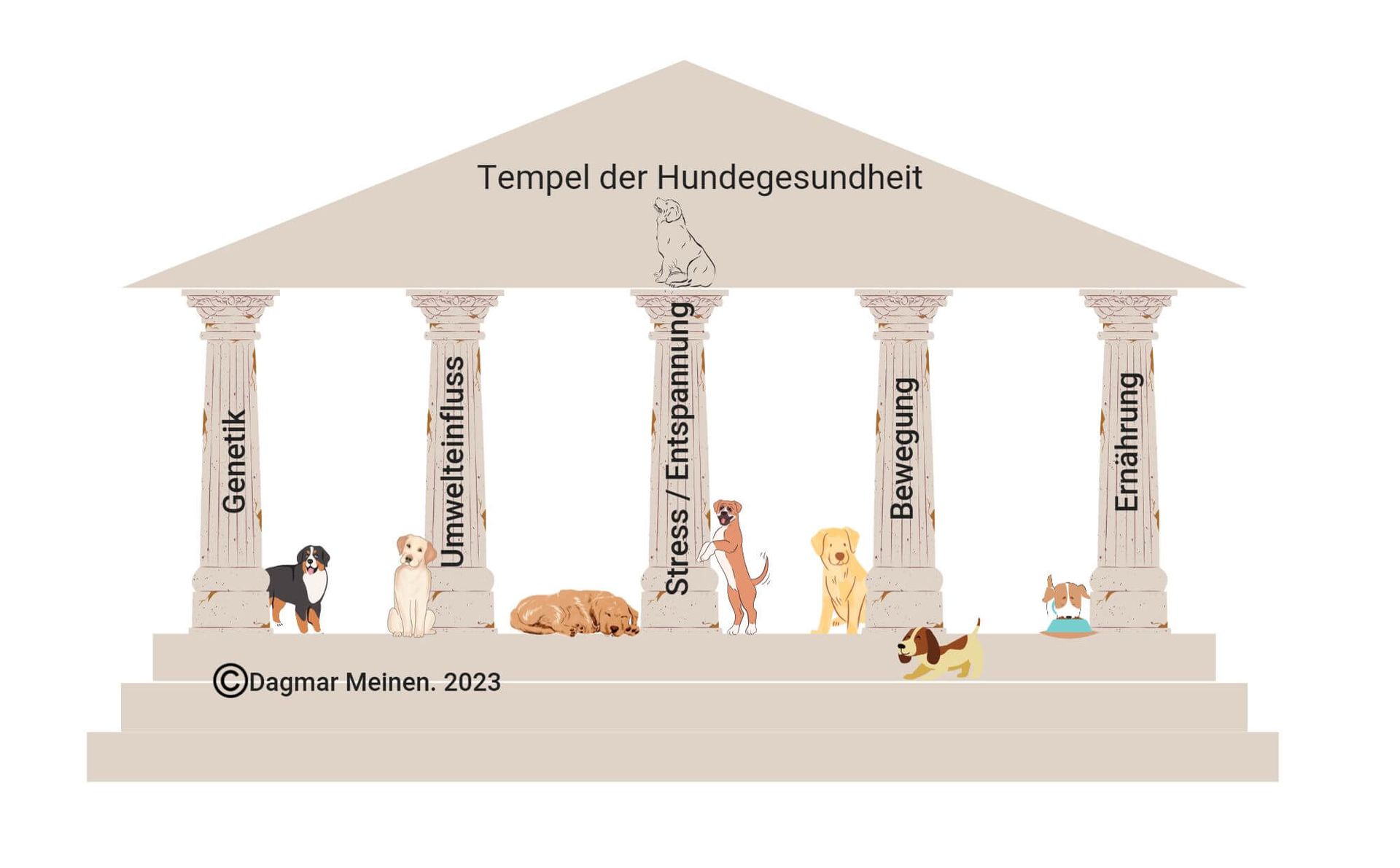 Ein Tempel mit fünf Säulen. Davor eine Treppe mit drei Stufen und ein dreieckiges Dach darüber. Im Dachgiebel steht: Tempel der Hundegesundheit. Unter der Schrift sitzt ein Hund. Auf den einzelnen Säulen steht geschrieben: Genetik, Umwelteinfluss, Stress und Entspannung, Bewegung, Ernährung. Zwischen den Säulen befinden sich Hunde.