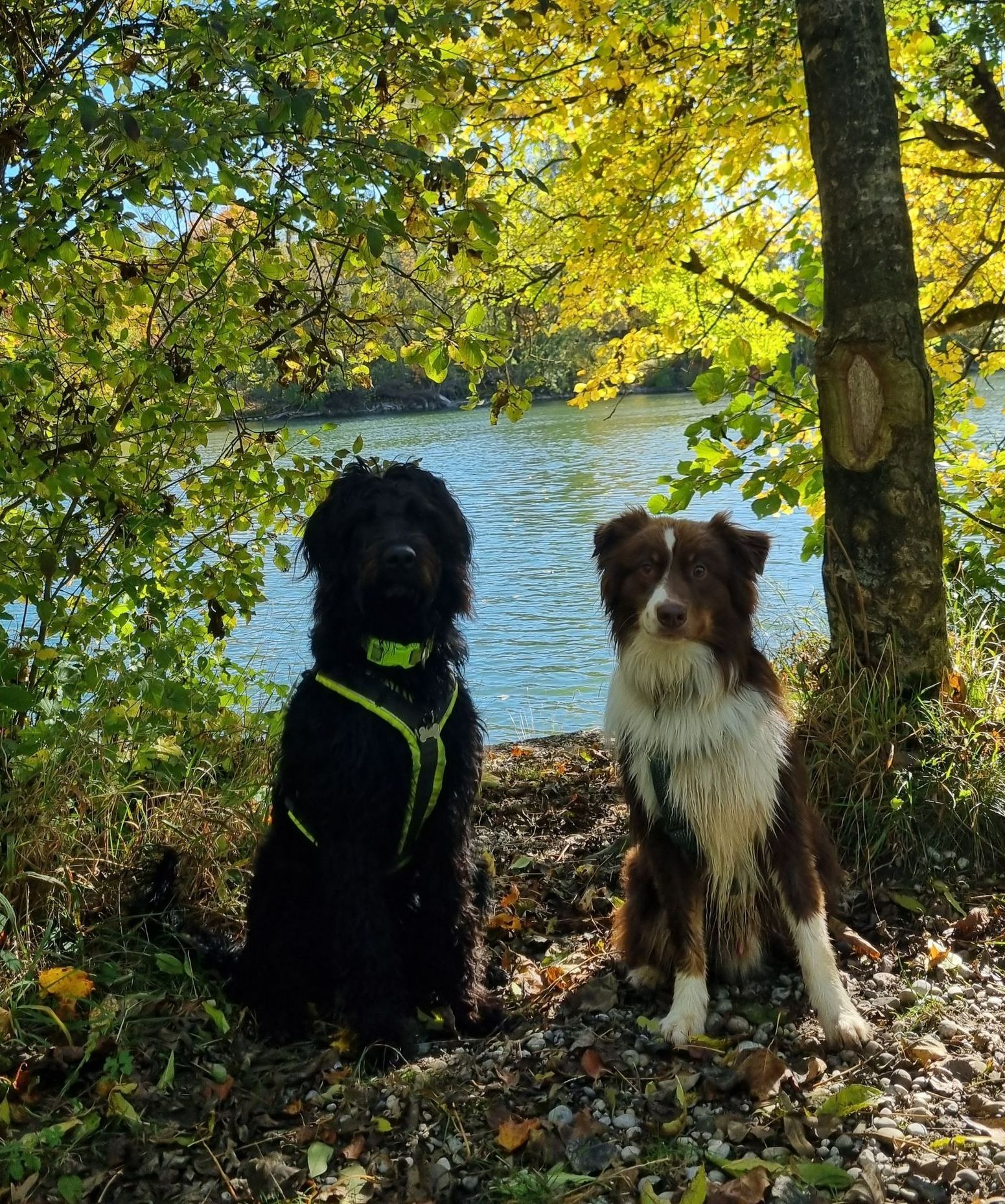 Runa und Schoki in München sitzend vor einem See
