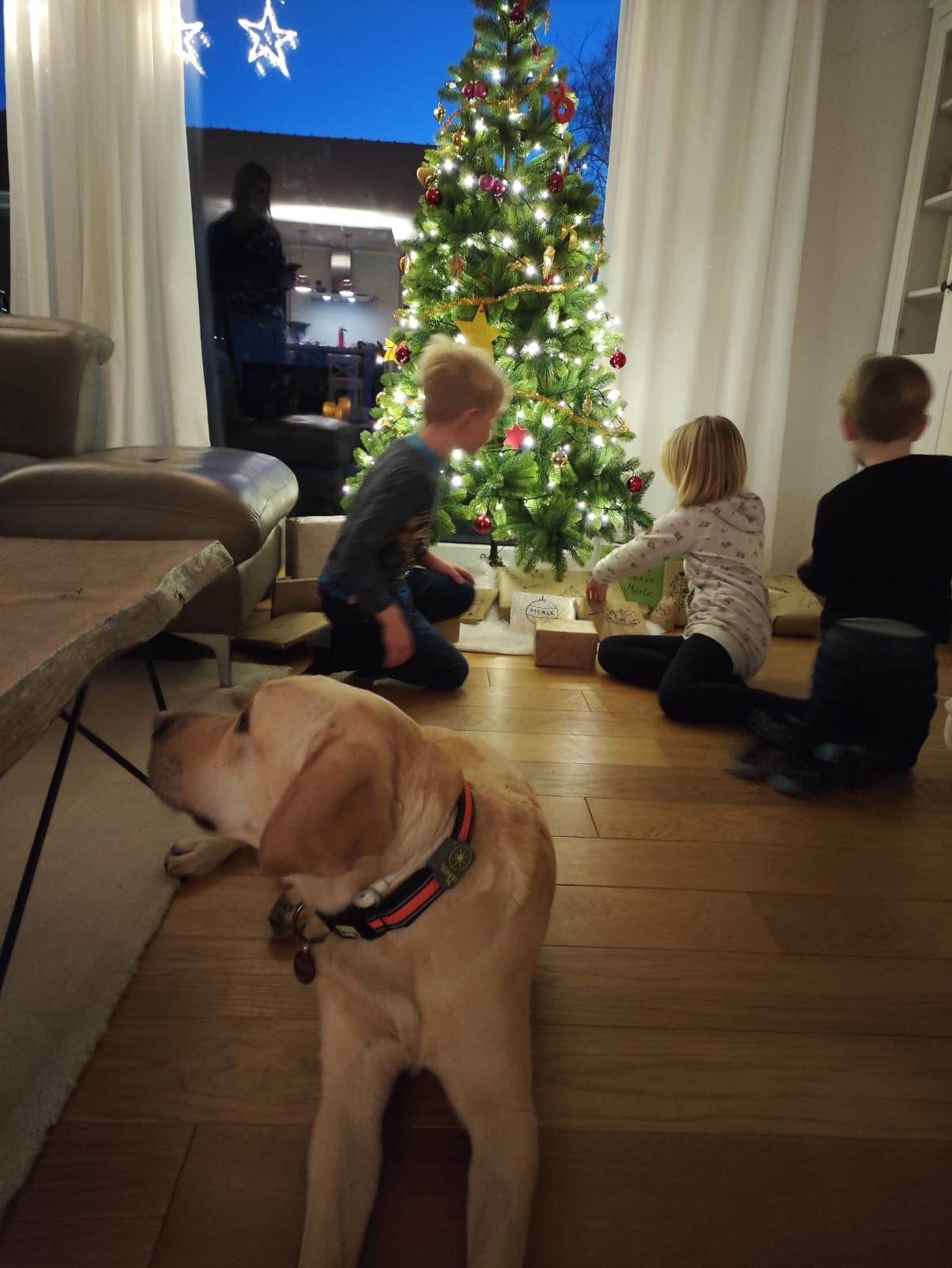 Finnley mit den 3 Kindern seiner neuen Familie alle zum Christbaum schauend