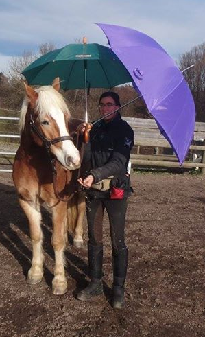 Bettina Brückler, Bettys Tiertraining, Pferdetraining, Anti Schreck Training, Zirkuslektionen, Graz, Steiermark, Österreich