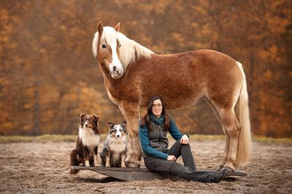 Betty mit Roxy, Ajka und Schoki auf der Wippe Bettina Brueckler, Bettina Brückler, Bettys Tiertraining, Wippentraining, Horse Agility, Pferdetraining und Hundetraining, Graz, Steiermark, Oesterreich