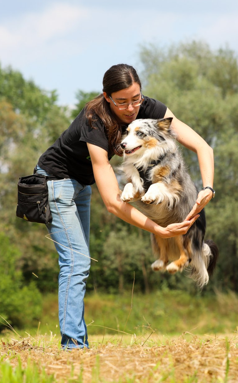 Ajka beim Sprung durch die Arme Bettina Brückler, bettys tiertraining, Betty's Tiertraining, positive Verstärkung, Clickertraining, Tricken, Obediece, Unterordnung, Begleithunde, Hundetraining, Medical Training, Graz, Steiermark, Österreich