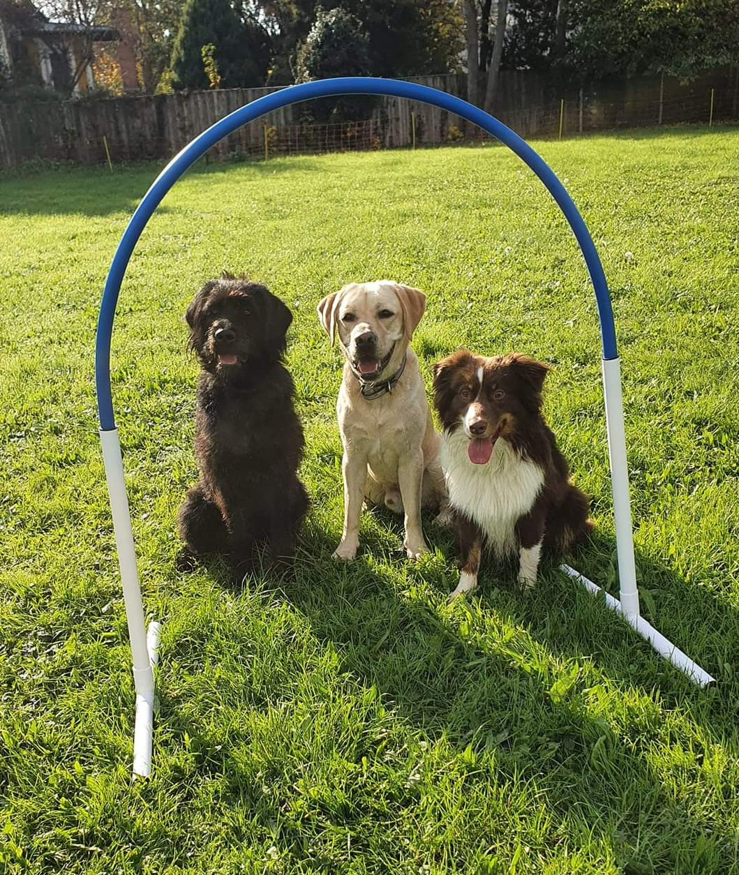 Hoppers - Nika, Finnley und Schoki sitzen hinter einem Hoop Hoppers - Nika, Finnley und Schoki sitzen hinter einem Hoop