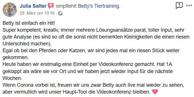 Rezzession Bettys Tiertraining, Bettina Brückler, Katzen und Pferdetraining Rezession, Bettys Tiertraining, Bettina Brückler, Katzentraining, Pferdetraining, Wippen, Horse Agility